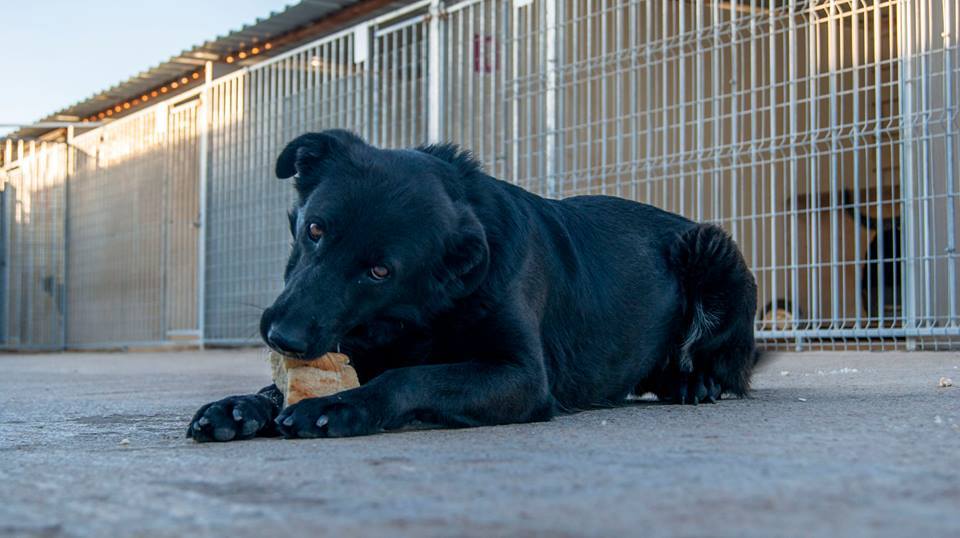 13119044_1199746033382508_3513782209991070812_n(1)