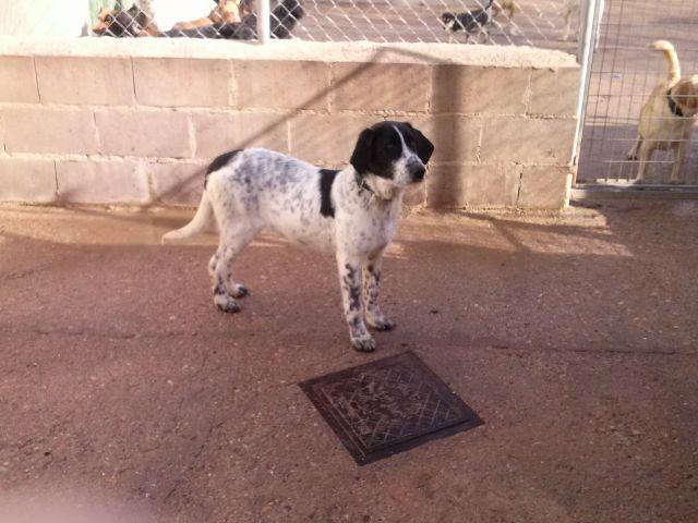 625656_379241285507662_1371358958_n