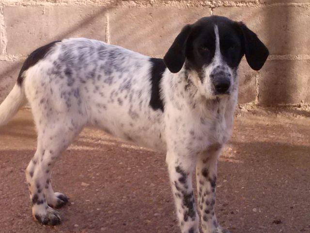 65978_379241265507664_689692614_n