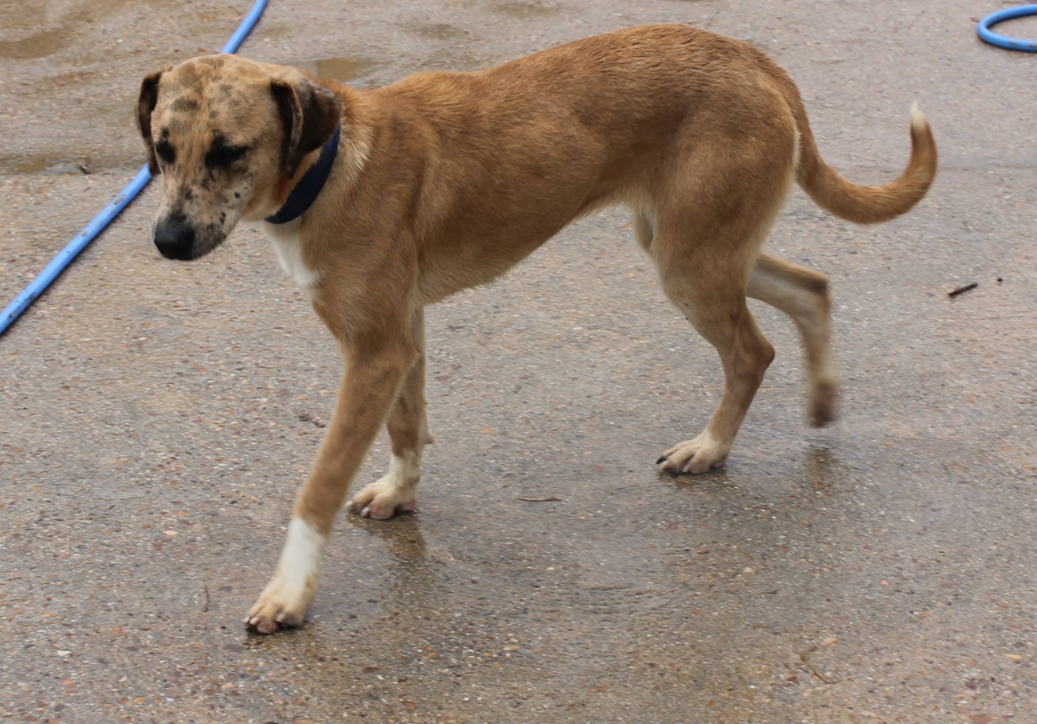 10922405_974395999250847_1151339329008249858_o