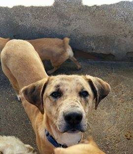 11013362_974395822584198_512176127721153641_n