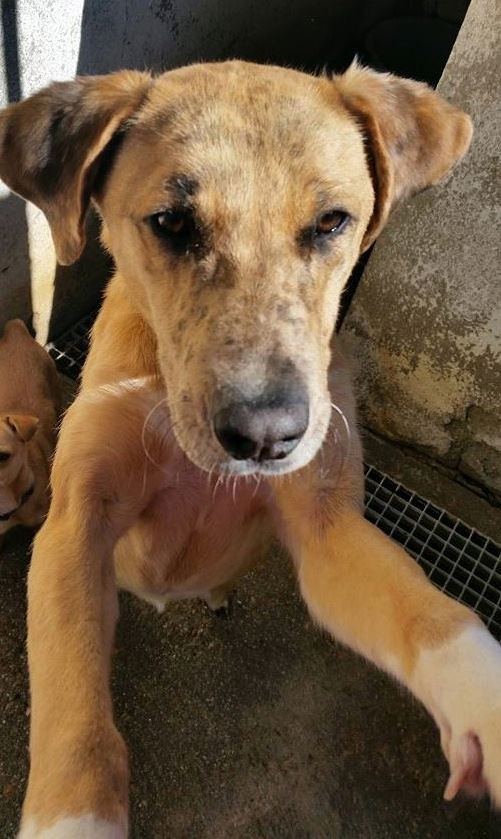 11032412_974395832584197_6532582172133914309_n