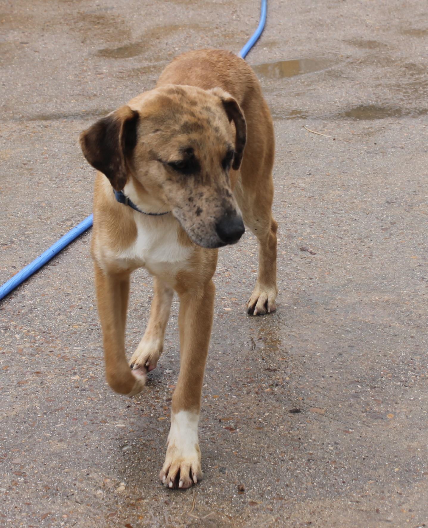 11057243_974396029250844_3866350949752243764_o