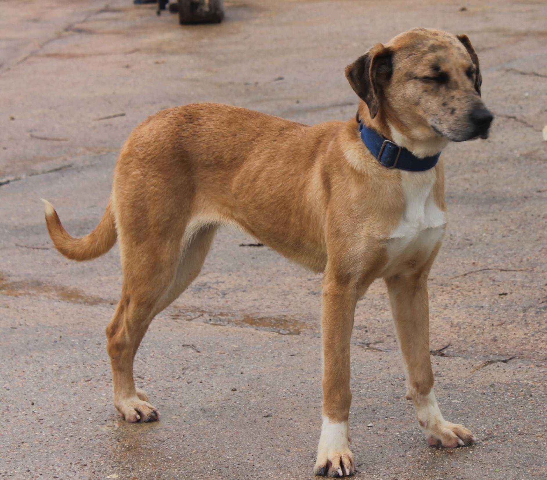 11078201_974395985917515_2854031855338326716_o