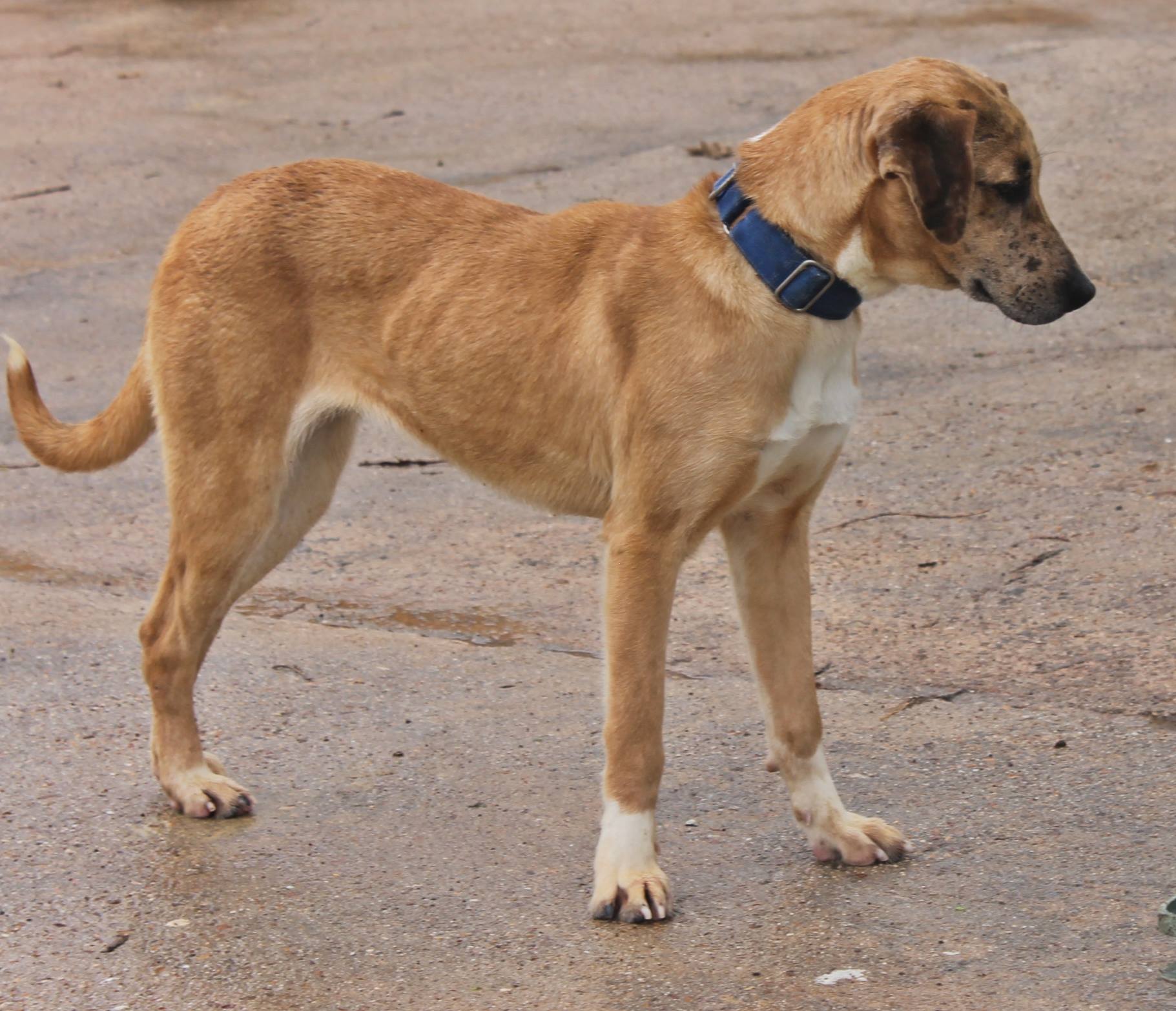 11080526_974396022584178_8912058502353403703_o