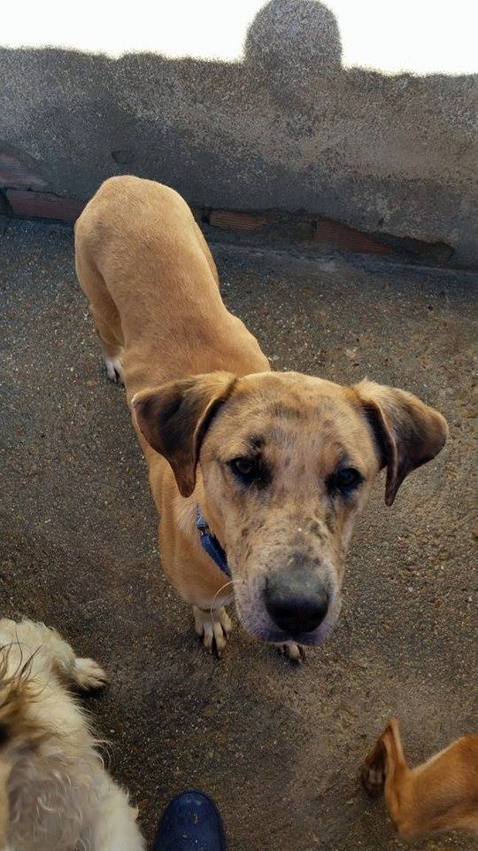 11082557_974395829250864_2283782825346517585_n