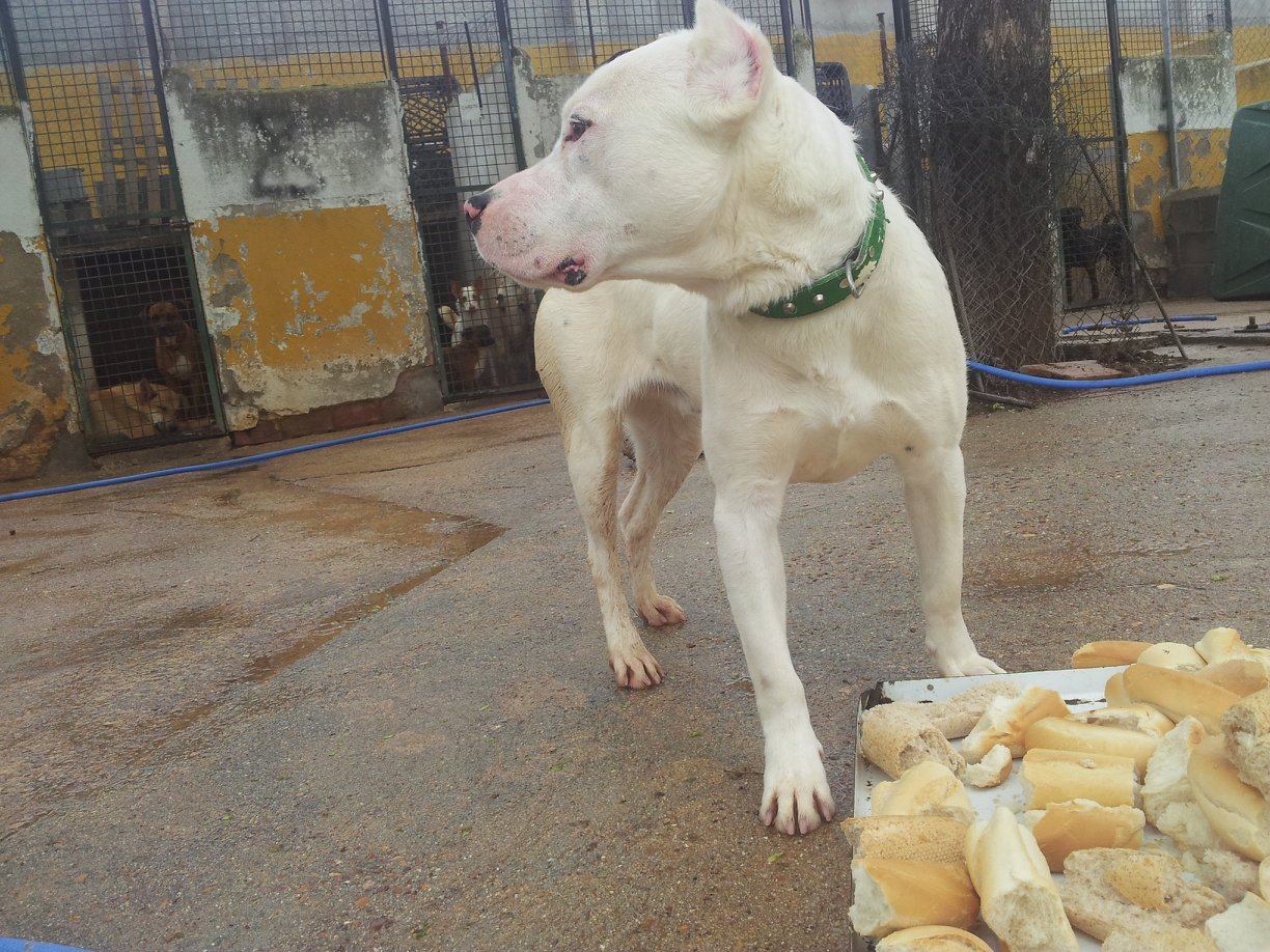 11838761_511882955641951_102109875909543496_o