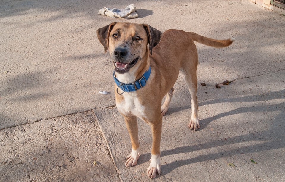 11891157_1062899220400524_4237443300901563602_n