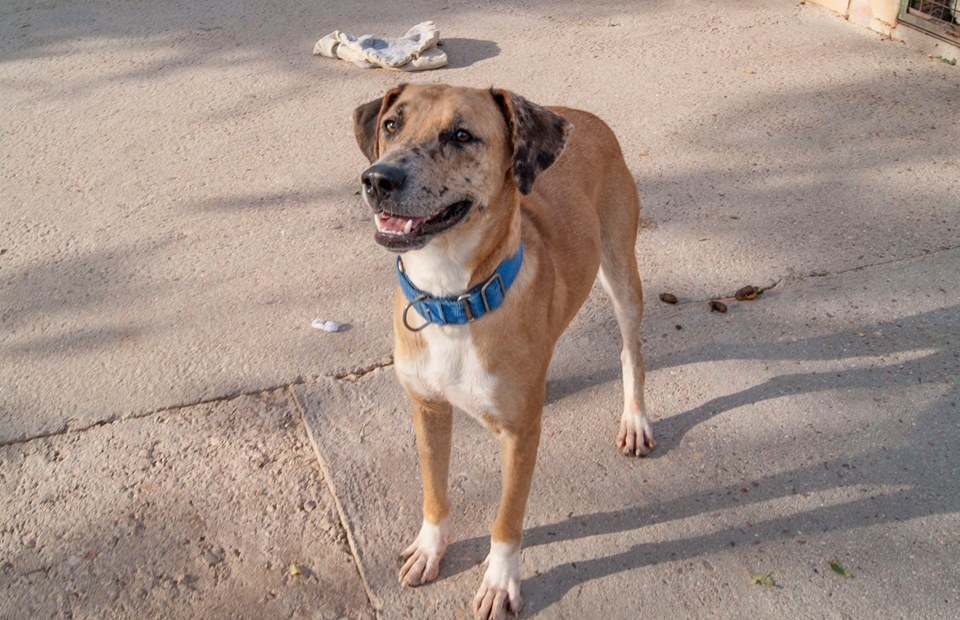 11949527_1062899217067191_8579337161428835130_n