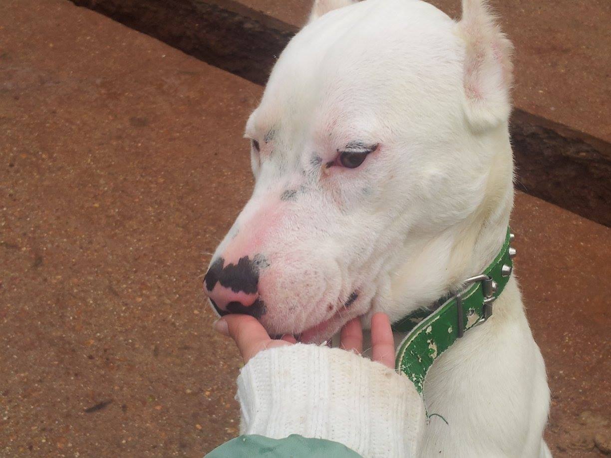 12030266_511882945641952_6279104902878671677_o