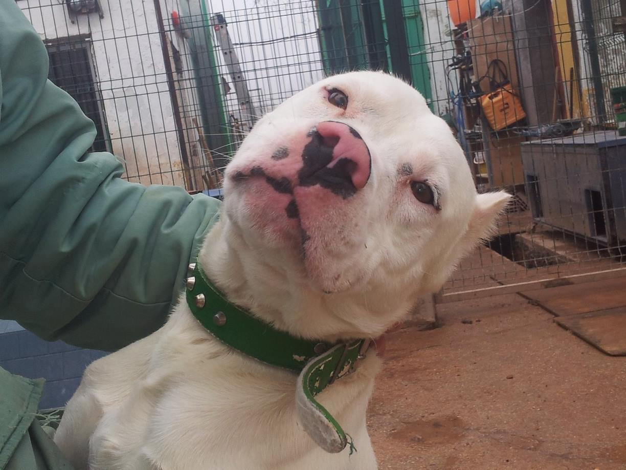 12038877_511882952308618_2055752575349332704_o