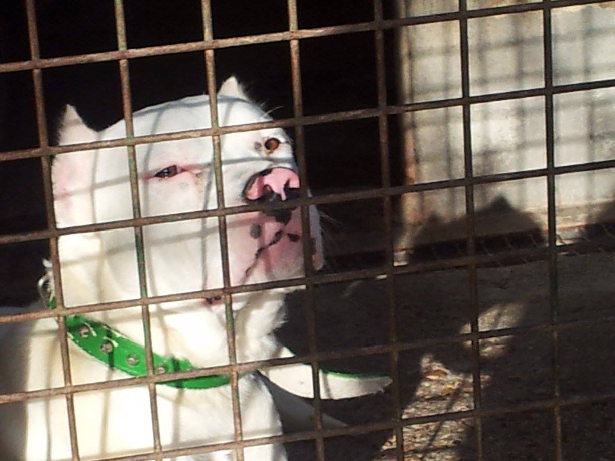 12045703_511883028975277_991490994137348471_o