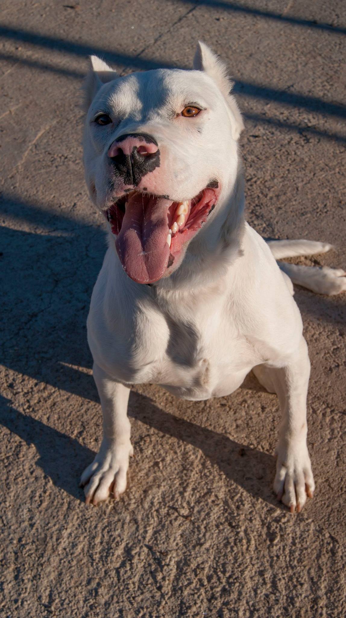 12957511_10208276097636640_2115417503755098358_o