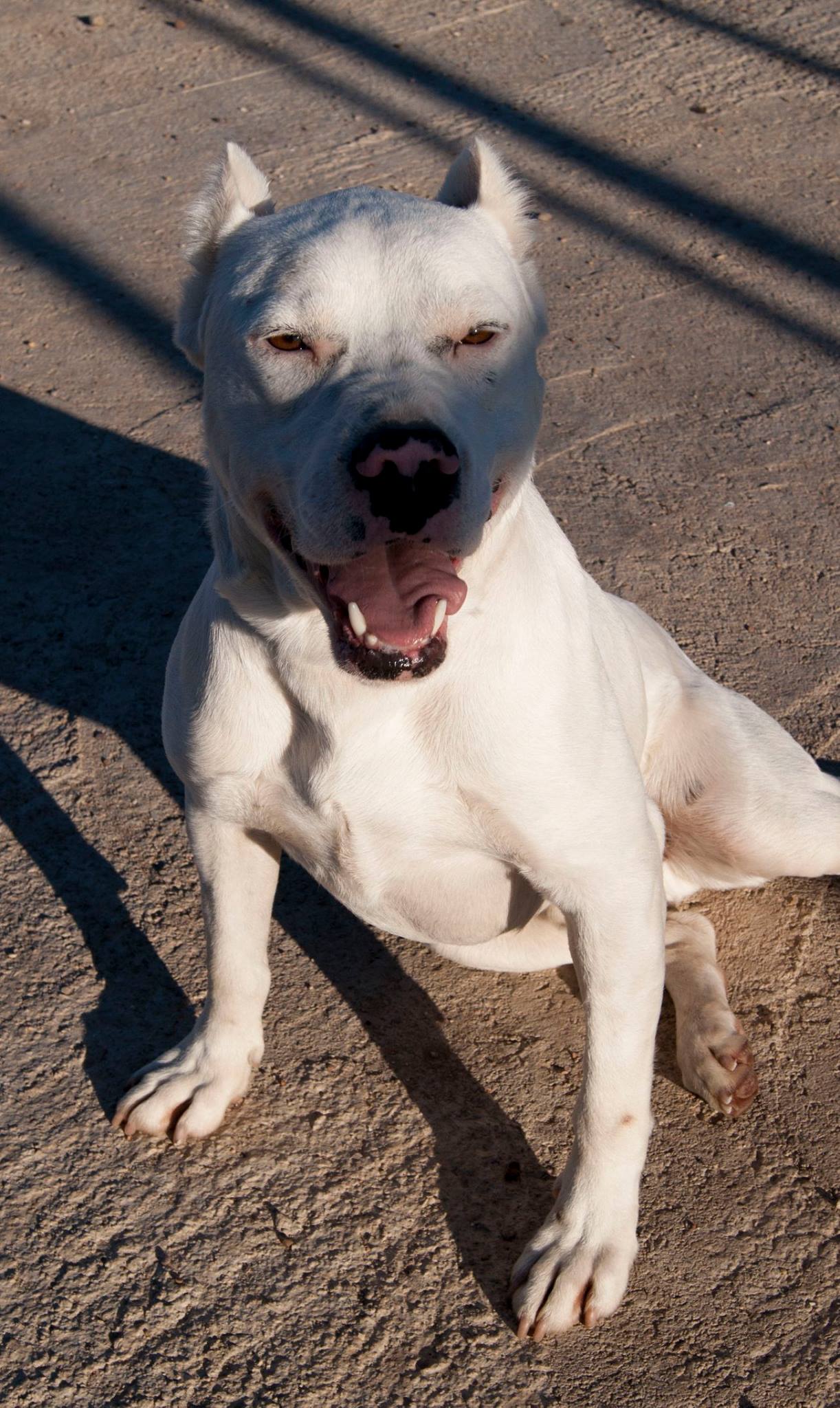 12961372_10208276118797169_823853724096767535_o