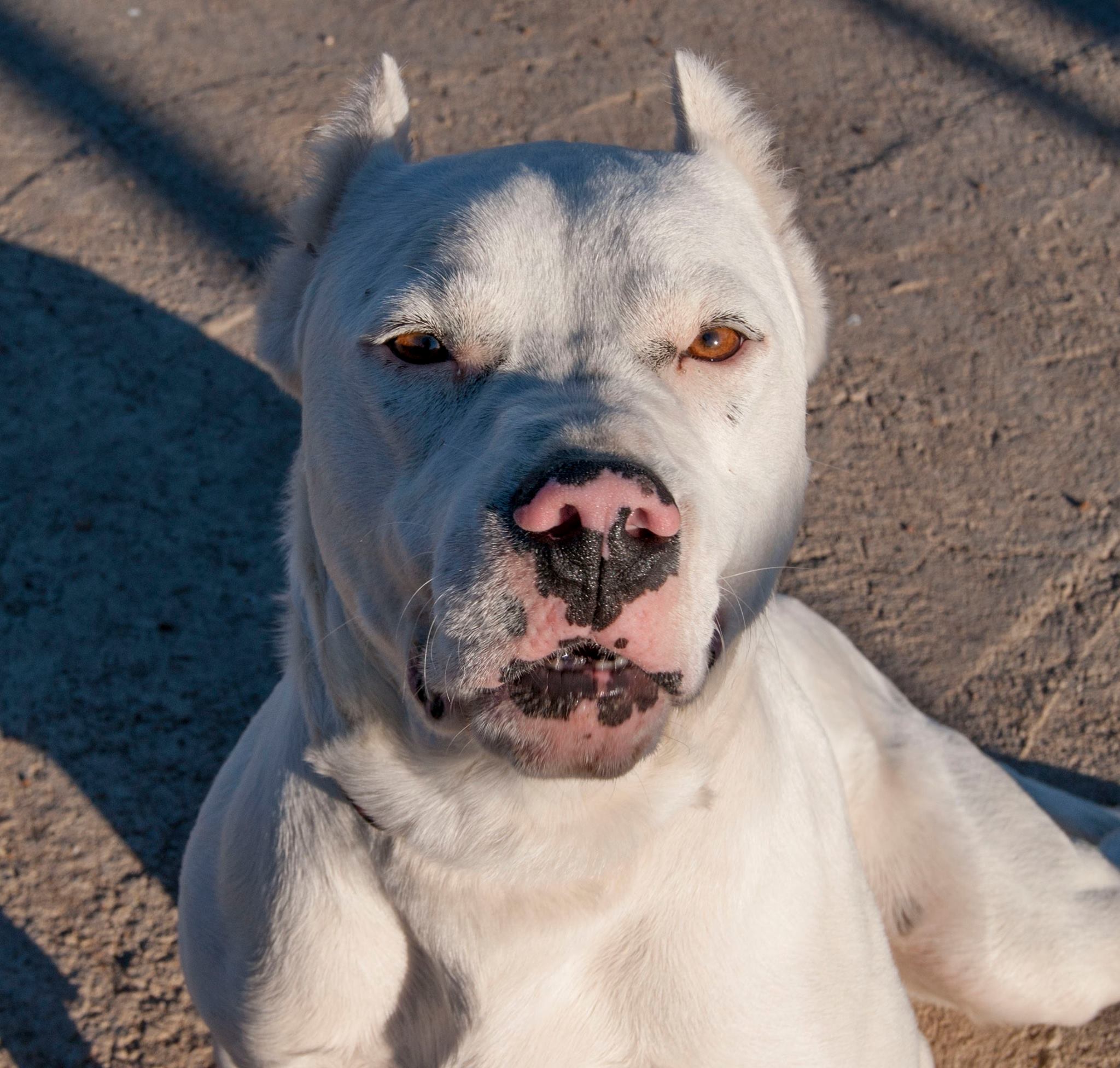 12967471_10208276111316982_7829734456933316261_o(1)