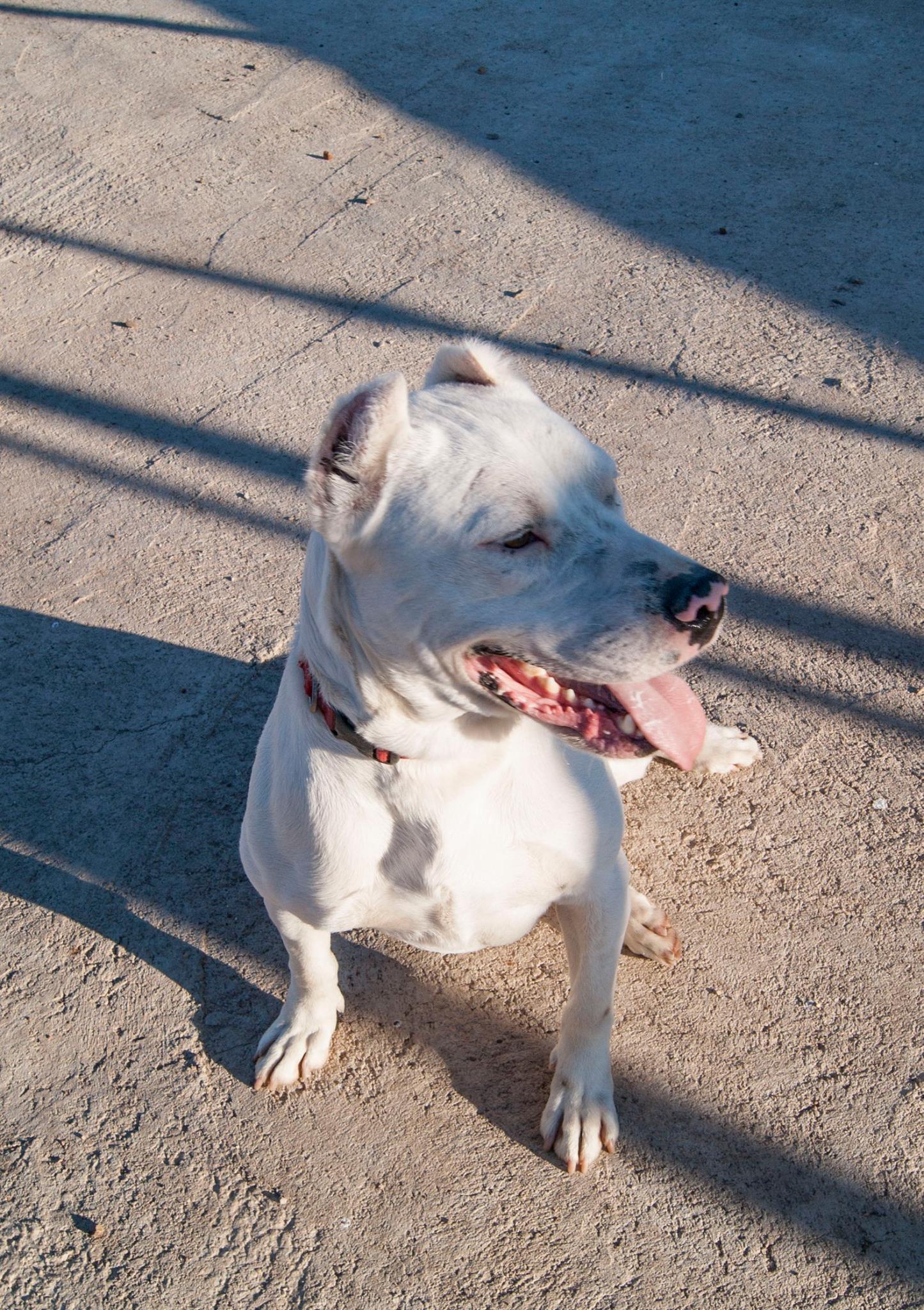 12967980_10208276094996574_8226073101901671791_o