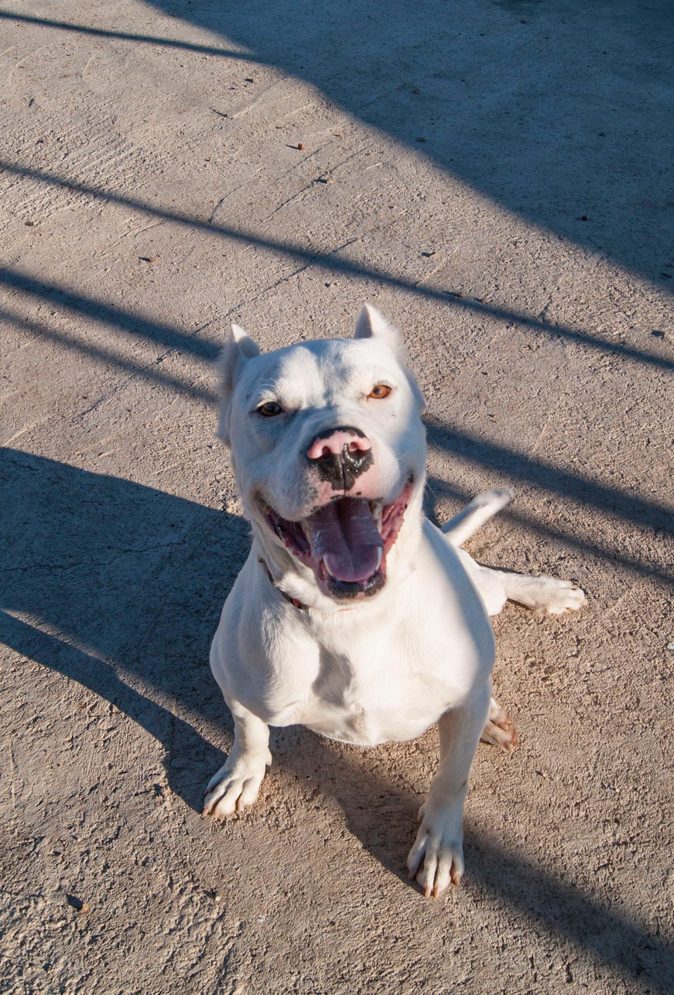 12970821_10208276121717242_3104125767532958906_o