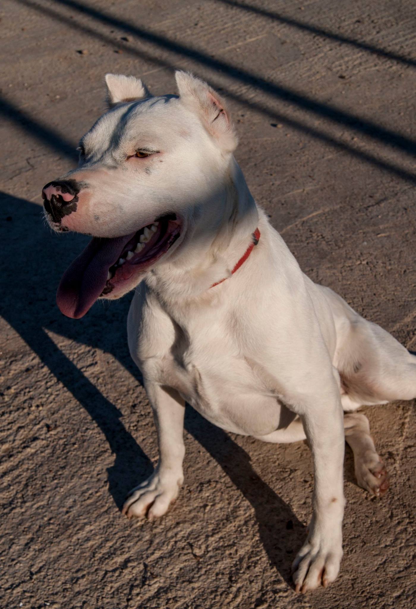 12976960_10208276116517112_1439456849253741238_o