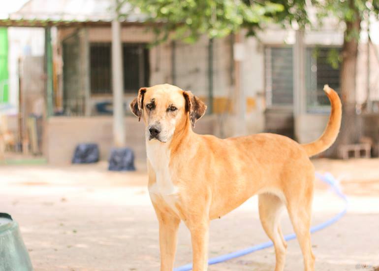 18893408_1592477140776060_5999804139426049021_n