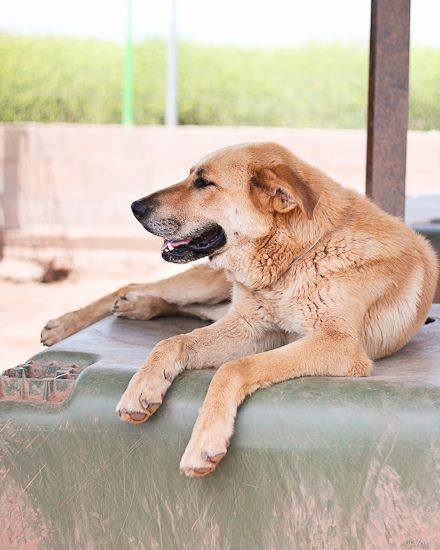 18950998_1592528060770968_8001506023273127117_n