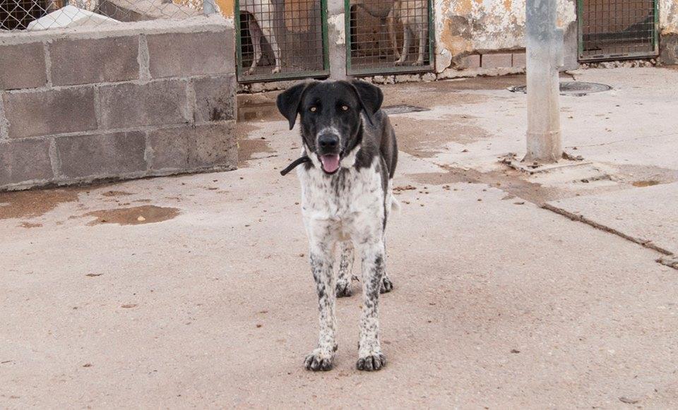 12106960_1082365771787202_8210203805922528918_n