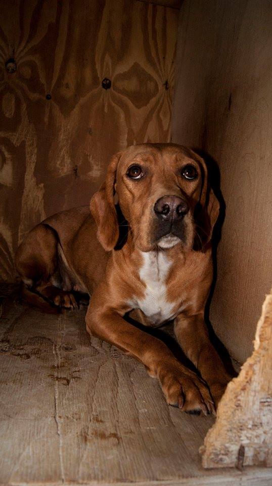 10603749_1062888520401594_2006929821825413254_n