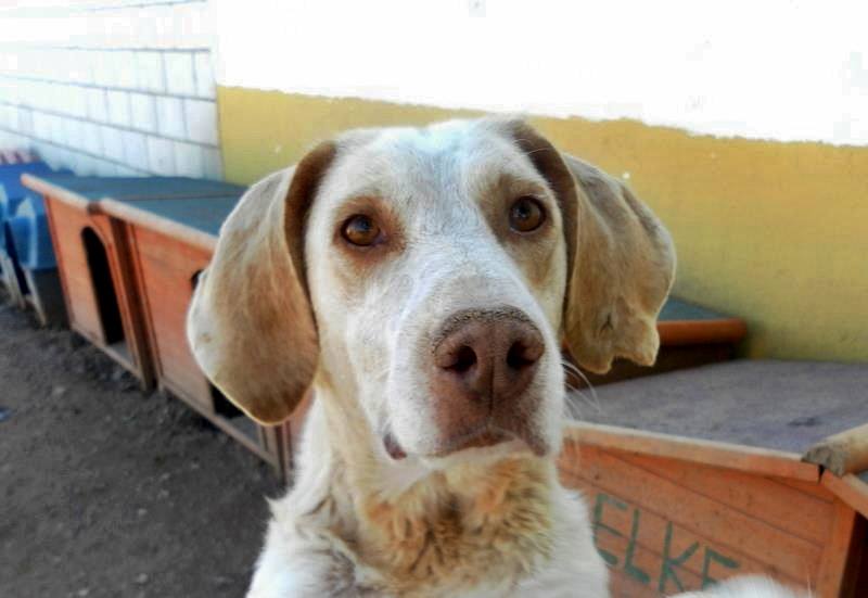 10378315_797206746969774_7170315569168657250_n