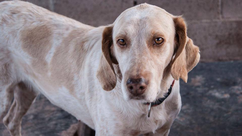 10431474_889440874413027_3404433451700501200_n