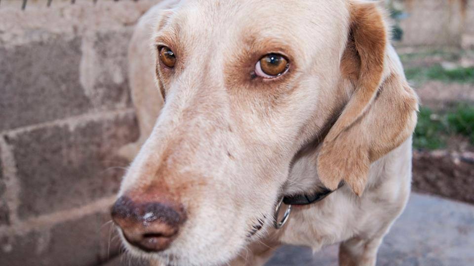 10730959_889440877746360_8046569682406755569_n