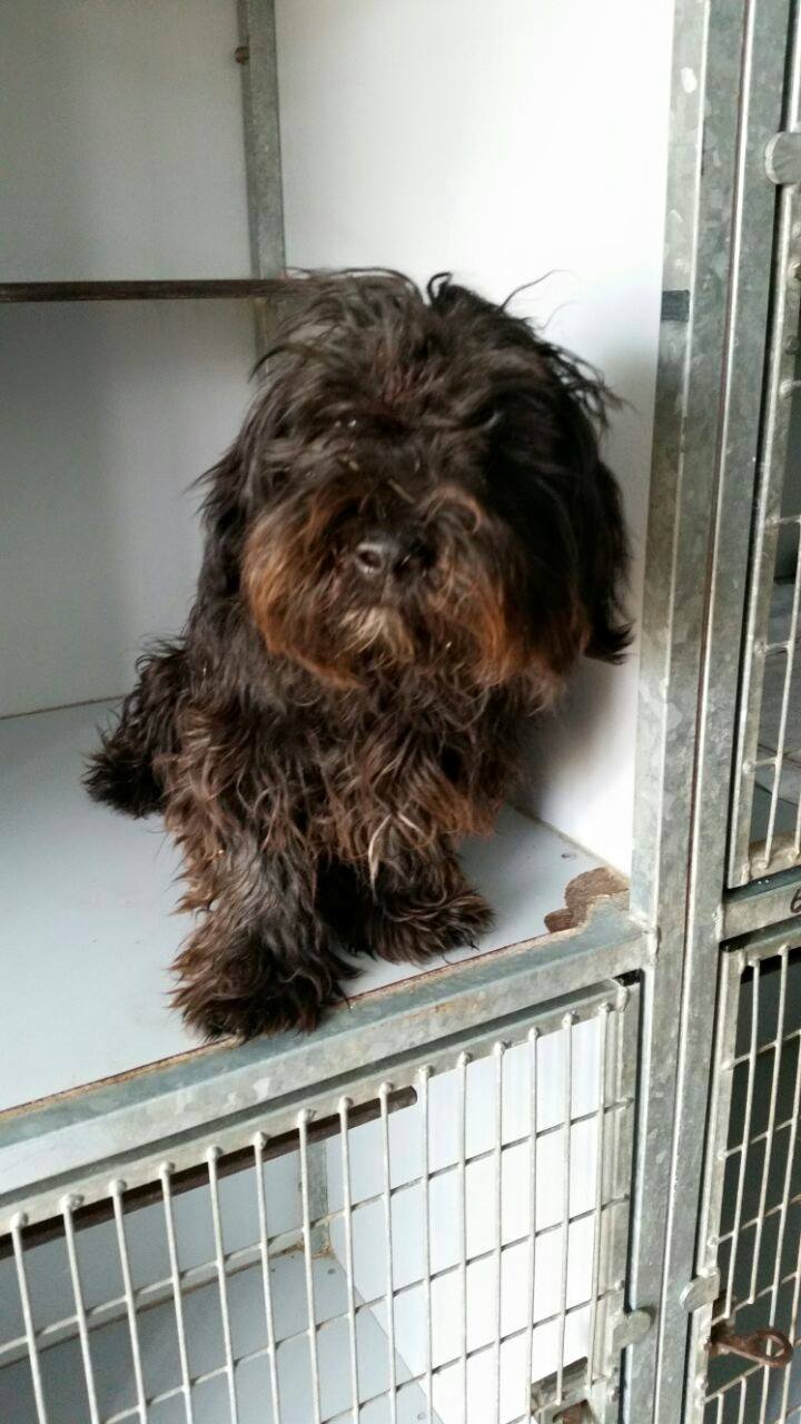 11289088_1002184879805292_1718320524391174940_o