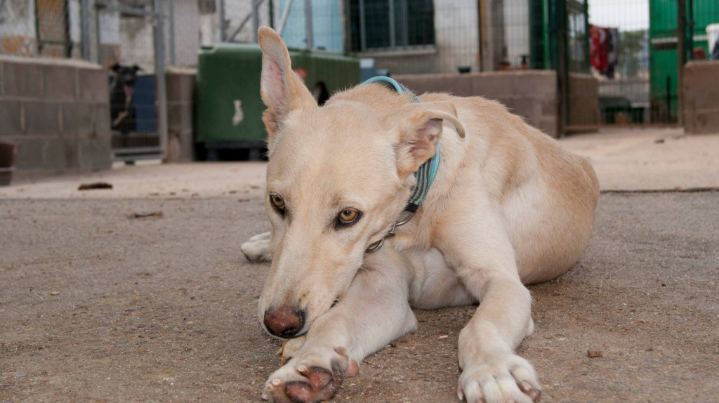 11406163_10206135490042788_3221025169247081971_o