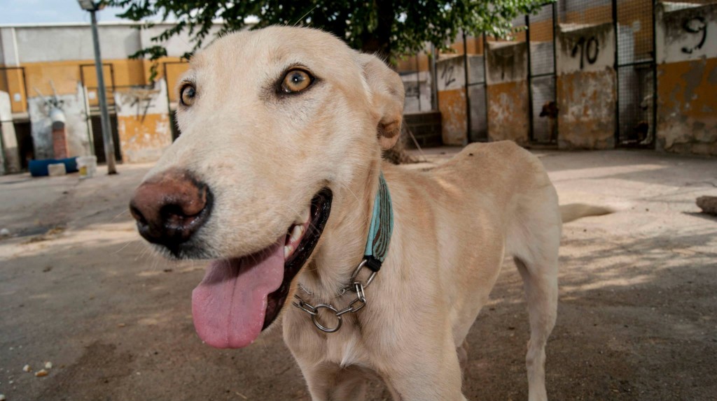 11406672_10206135489922785_8279375487937109176_o