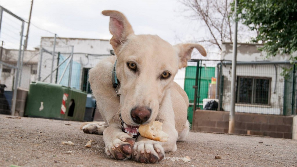 11411989_10206135490962811_6132119599398841186_o