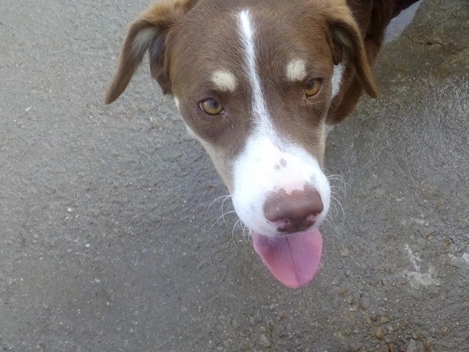 11954829_1065553186801794_6286592745563857501_n