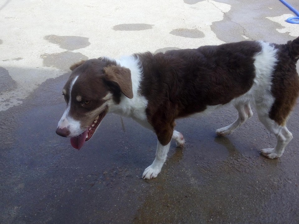 12003222_1065553223468457_5421475405441910677_n