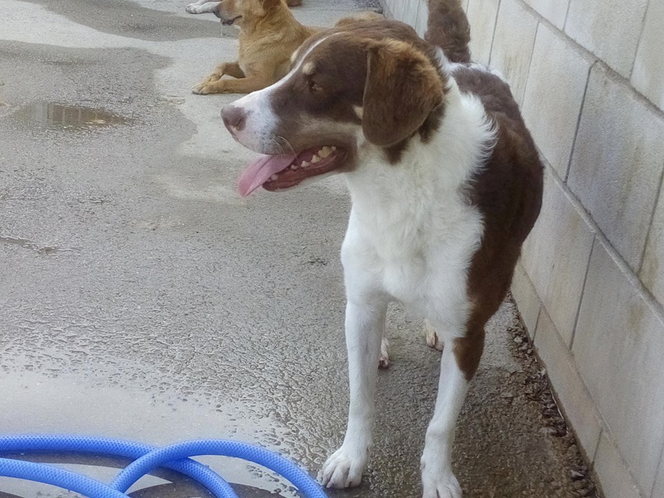 12006269_1065553190135127_562346992680277950_n