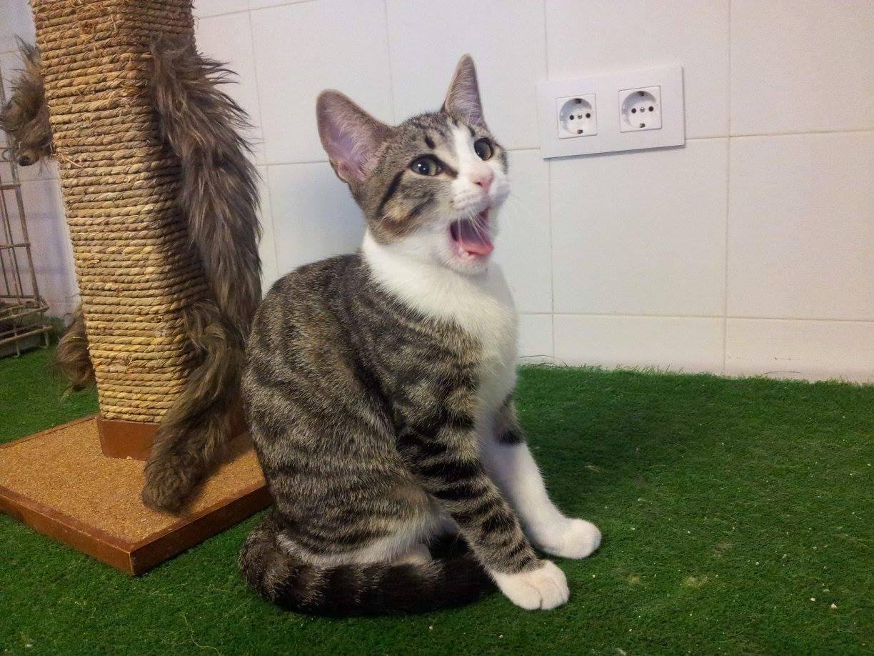 12010496_1071694869520959_182475639884533619_o