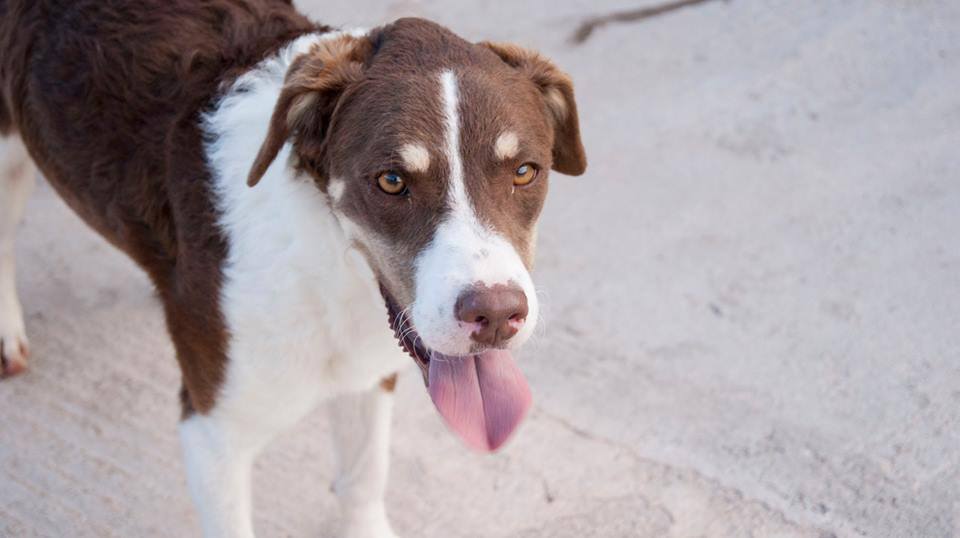 12011210_1065553183468461_9036057736432894100_n