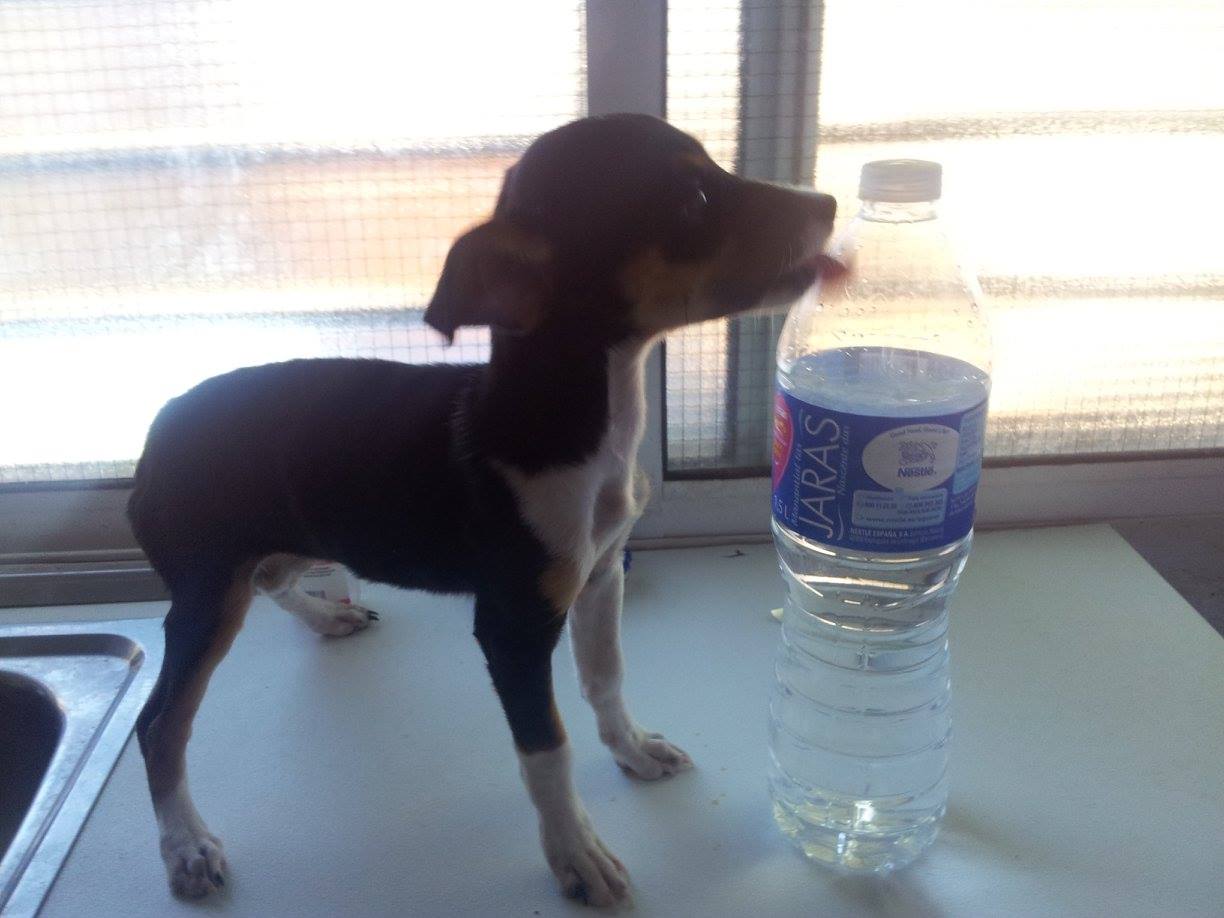 12014967_511894765640770_803497622314255785_o