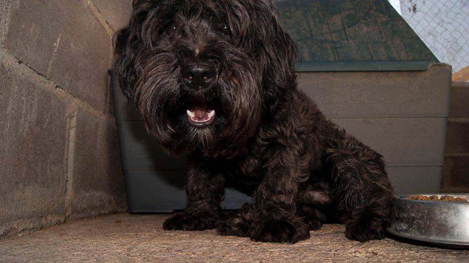 12033049_1068552836501829_4136448168441222651_n