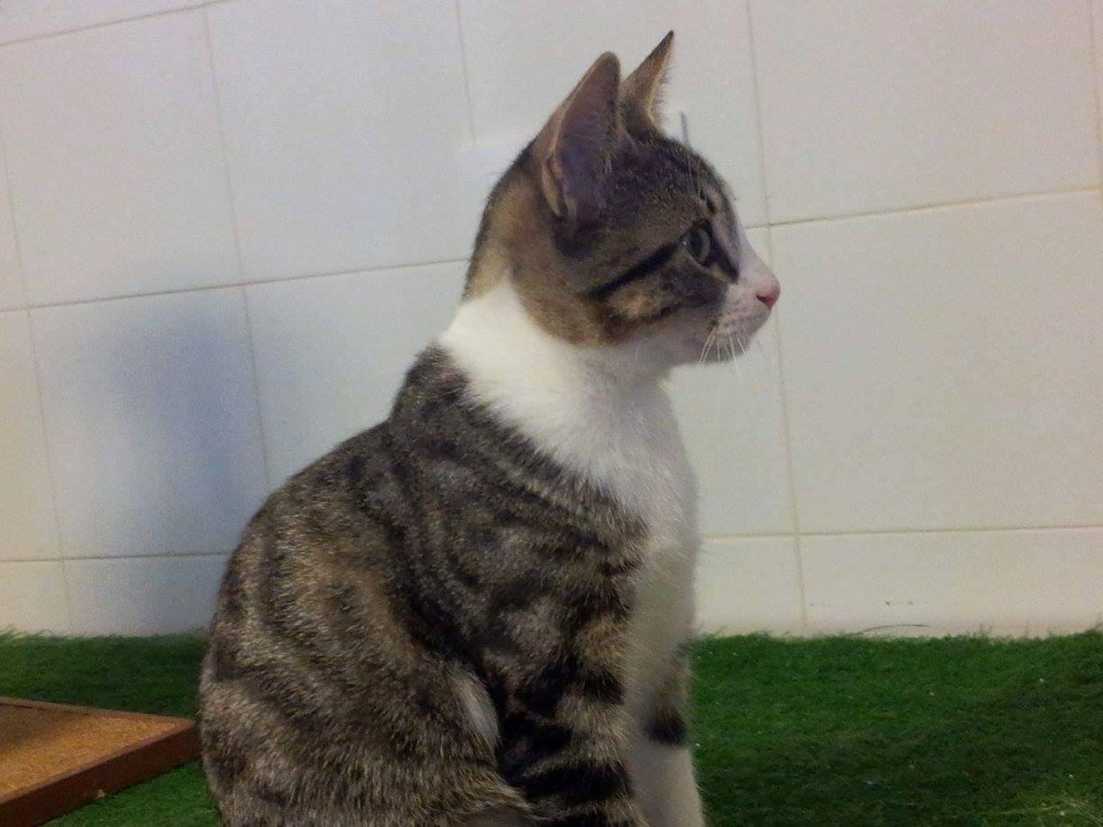 12038725_1071694892854290_3431539778326415970_o