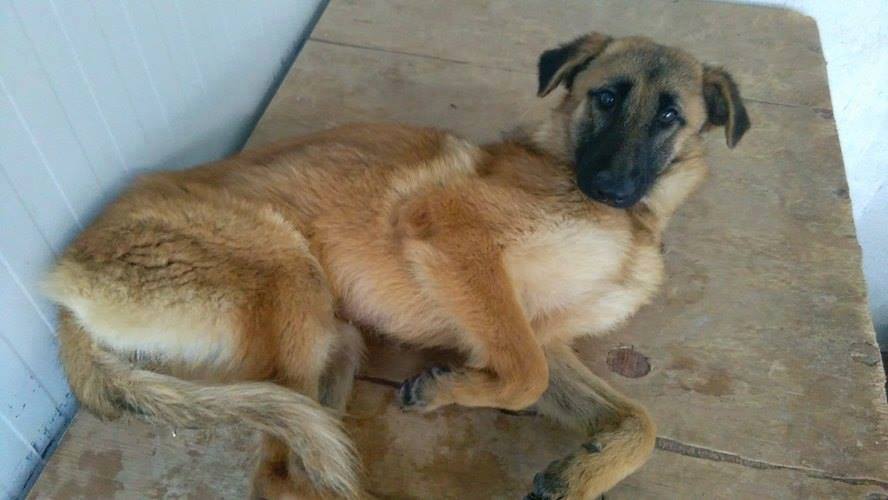 12439309_1123976997626079_4555469772294884926_n