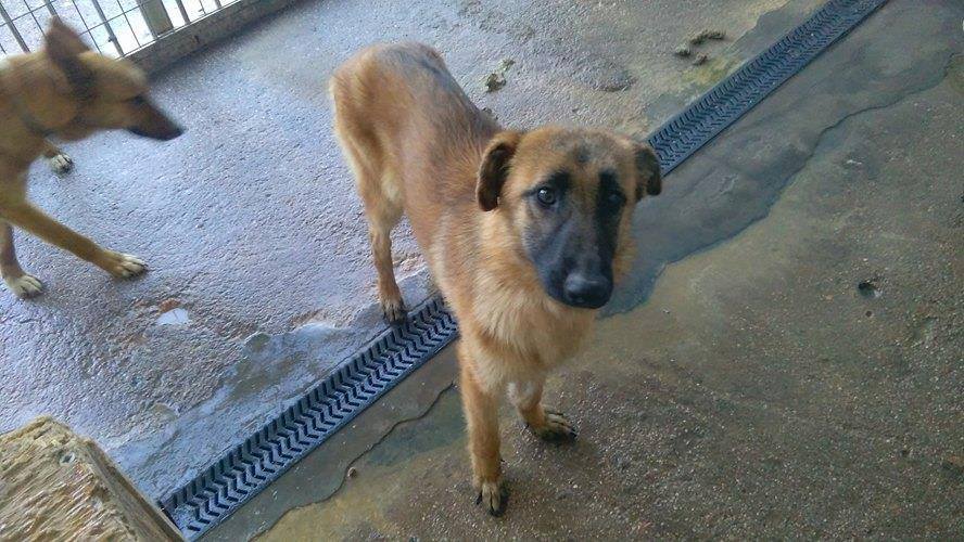 12495204_1123977037626075_913046685746568540_n