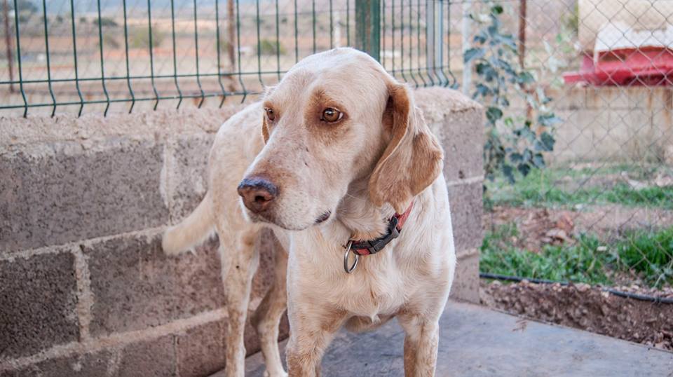 1461721_889440911079690_989826343386054467_n