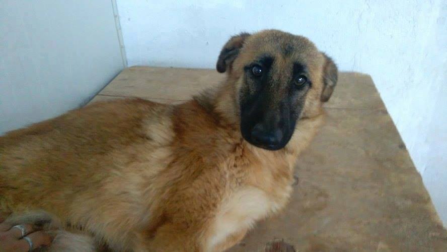 8483_1123976990959413_3076622788210848949_n