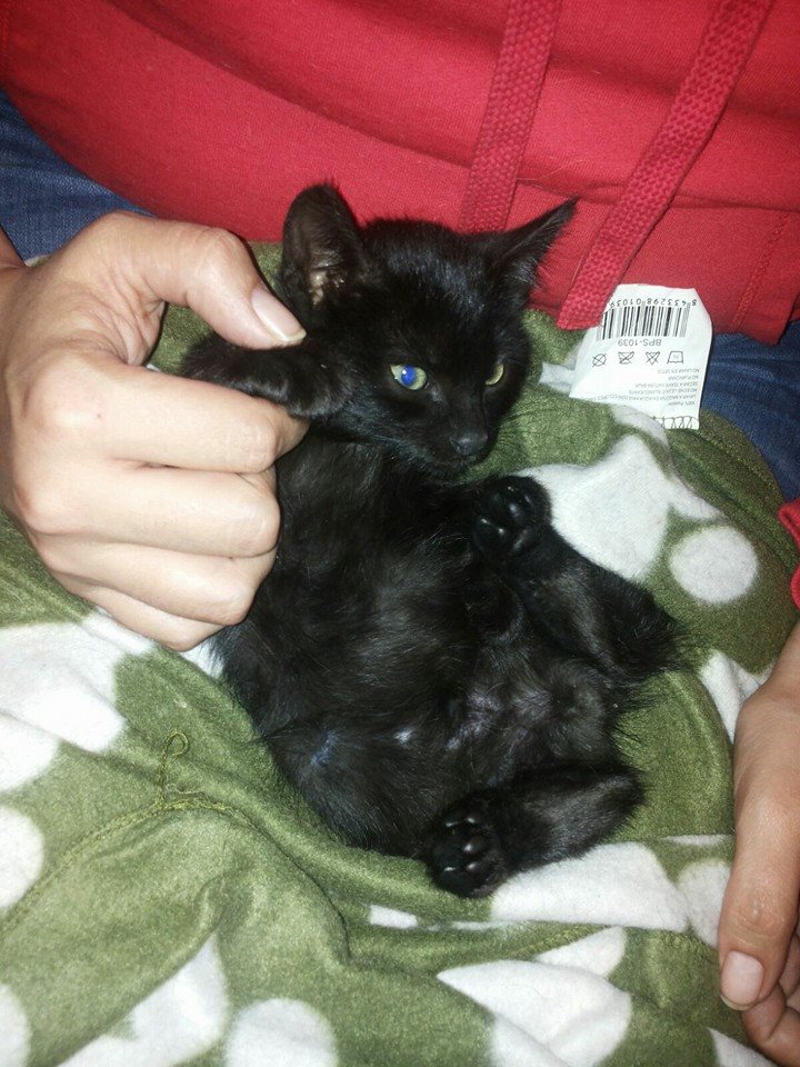 10562926_1086620961361683_3242883904244590671_n