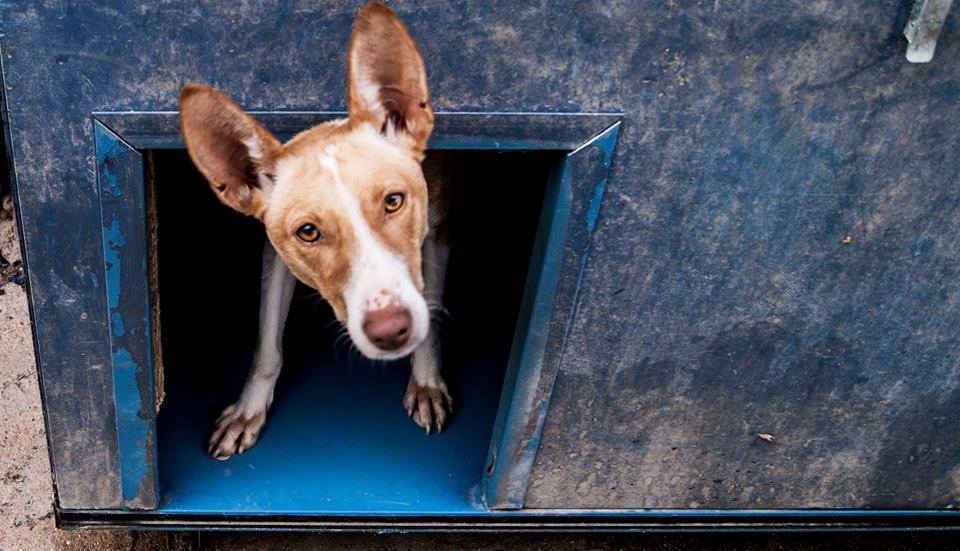 11205038_1124641254226320_2475544732284716575_n