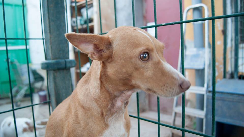 11205082_1061775057179607_3342504958100106655_n