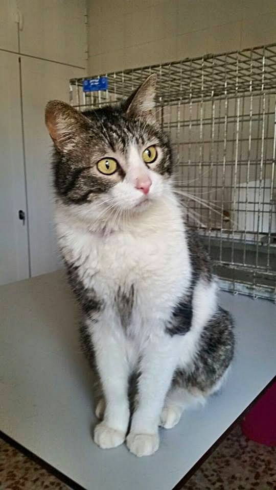 11391099_1015003848523395_3037315571052415528_n