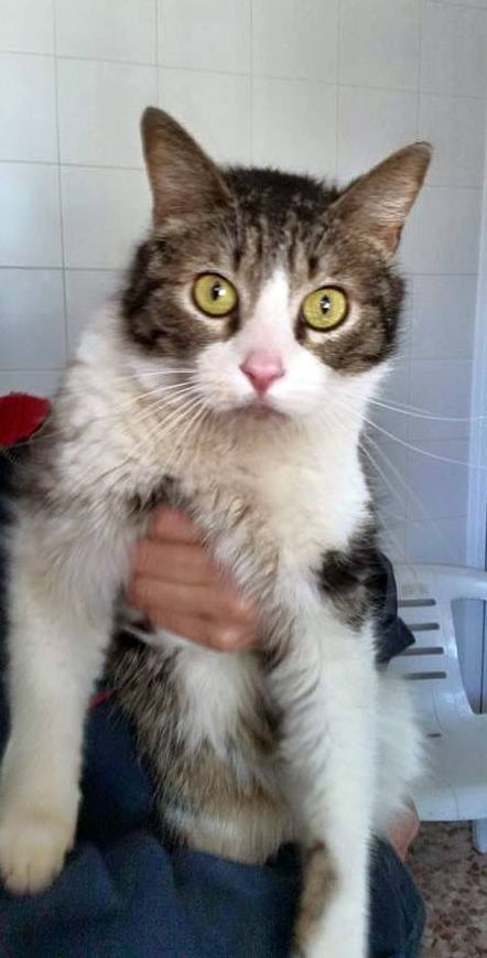 11535673_1015003891856724_5163997445086209523_n